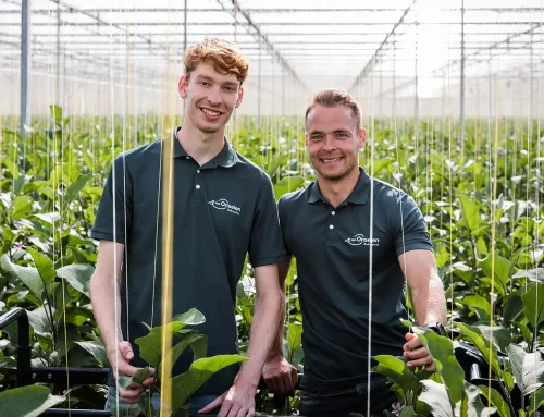 2000 – Dit is een test slider